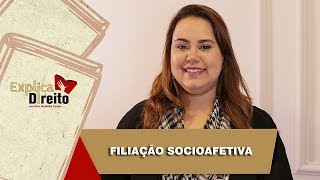 Explica Direito Filiação Socioafetiva  2019 [upl. by Lucilia139]