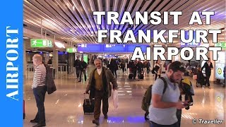 TRANSIT WALK AT FRANKFURT Airport FRA Terminal 1  Connection Flight Transfer Arriving amp Departing [upl. by Aneetak]